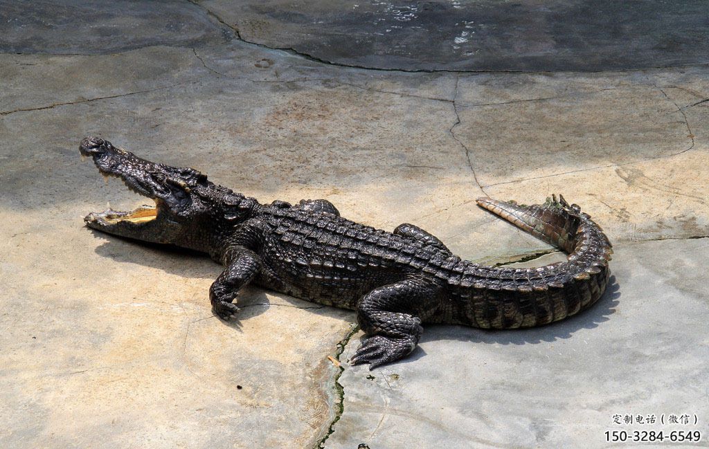 仿古玻璃鋼鱷魚(yú)雕塑 庭院彩繪雕塑 田間小品