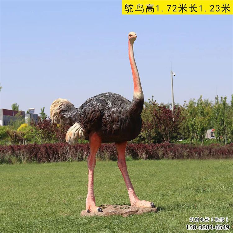 玻璃鋼仿真鴕鳥雕塑廠家，公園廣場動物，大型園林小品