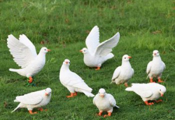 鴿子雕塑，鍍銅鳥類雕塑，鏡面工藝