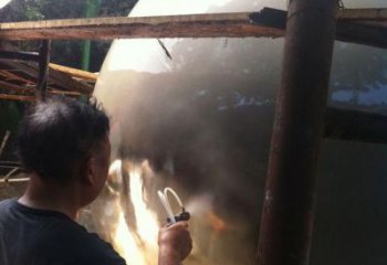 園林藍莓雕塑 風景區仿真雕塑 廣場小品