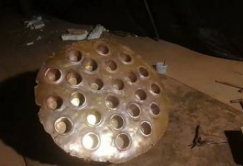 抽象蓮蓬雕塑 啞光植物雕塑 室內雕塑