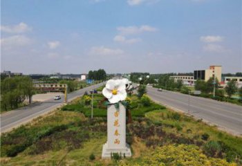 杏花雕塑常用，景觀概念，不銹鋼杏花雕塑廠家