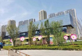 杏花雕塑訂做，公園雕塑，不銹鋼杏花雕塑生產商