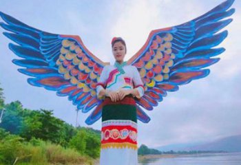 羽翼雕塑精品，白鋼構(gòu)件，不銹鋼羽翼雕塑供求