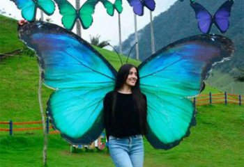 羽翼雕塑精品，白鋼構(gòu)件，別墅不銹鋼羽翼雕塑供求